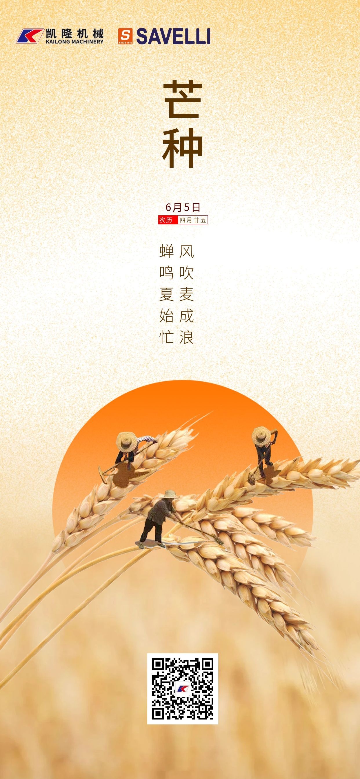 芒种.jpg